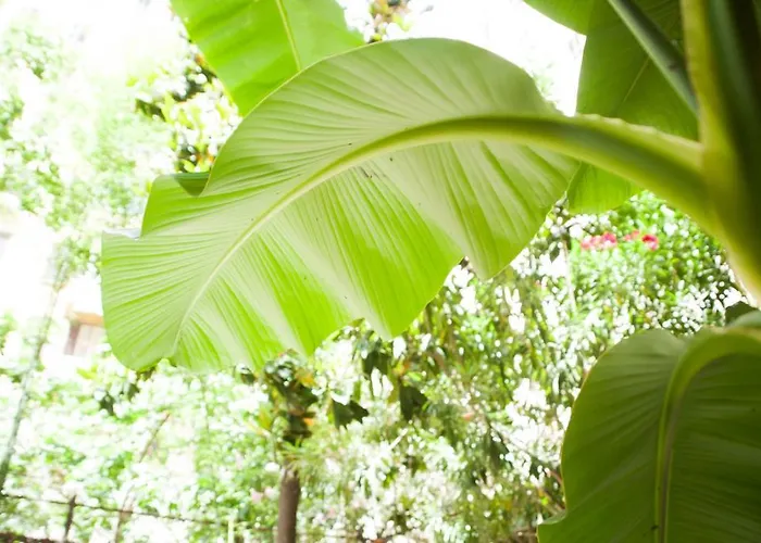 Almes Affittacamere Roma