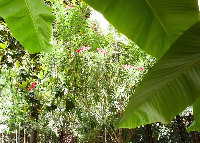 Affittacamere Almes 2*